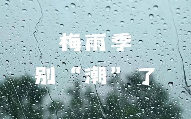 日“入梅”：茶叶这样放才不会“发霉”！AG电玩国际2024年上海茶博会丨今(图7)